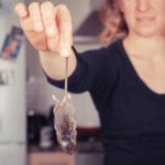 Mill Creek Rodent Removal
