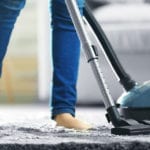 How to Get Rid of Fleas in Your House