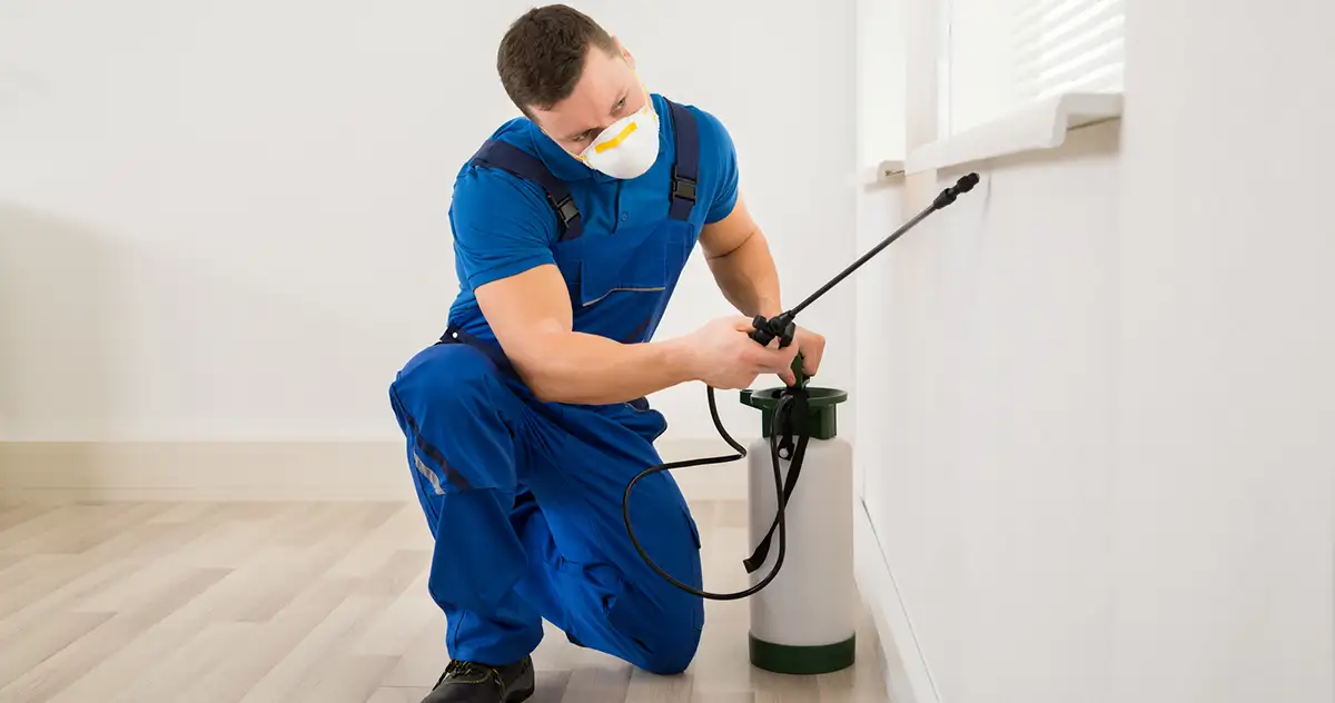 What Attracts Cockroaches to Your Home?